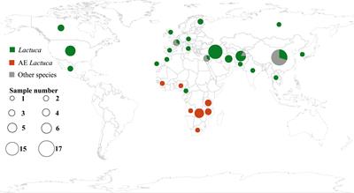 Plastome-based phylogeny and biogeography of Lactuca L. (Asteraceae) support revised lettuce gene pool categories